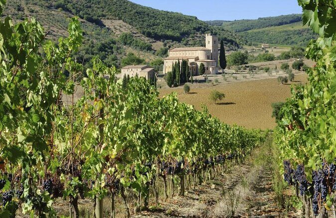 Brunello di Montalcino Wine Experience from Siena - Key Things I’d Focus On
