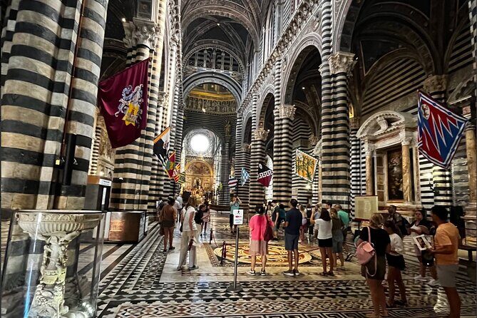 Cathedral of Siena Entrance Tickets - Timing matters: when the 56-scene floor is fully visible