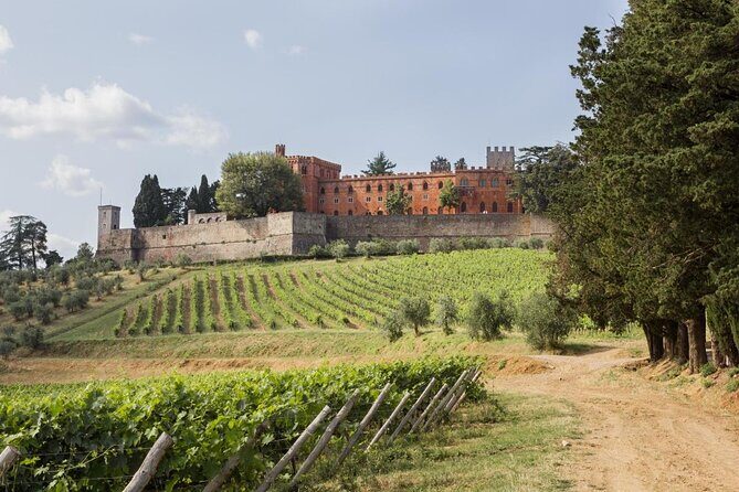 Chianti Classico E-Bike Tour - Key Points to Know Before You Go