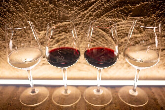 Chianti Grand Tasting: Signature Wines, Oils & Balsamics in the - Should you book Chianti Grand Tasting at Poggio ai Laghi?