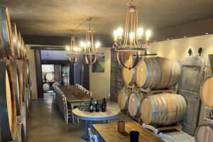 Discover Brunello Wines with DiWine Experience - Brunello Focus Without Wine-Student Stress