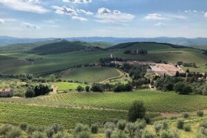 Discover Chianti Classico Wines DiWine Experience - Meet Emanuele: sommelier brain plus a real driver’s plan