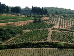 From Siena: Chianti and Castles Tour with Wine Tastings - Castellina in Chianti: Walled-Town Energy Without the Full Hike