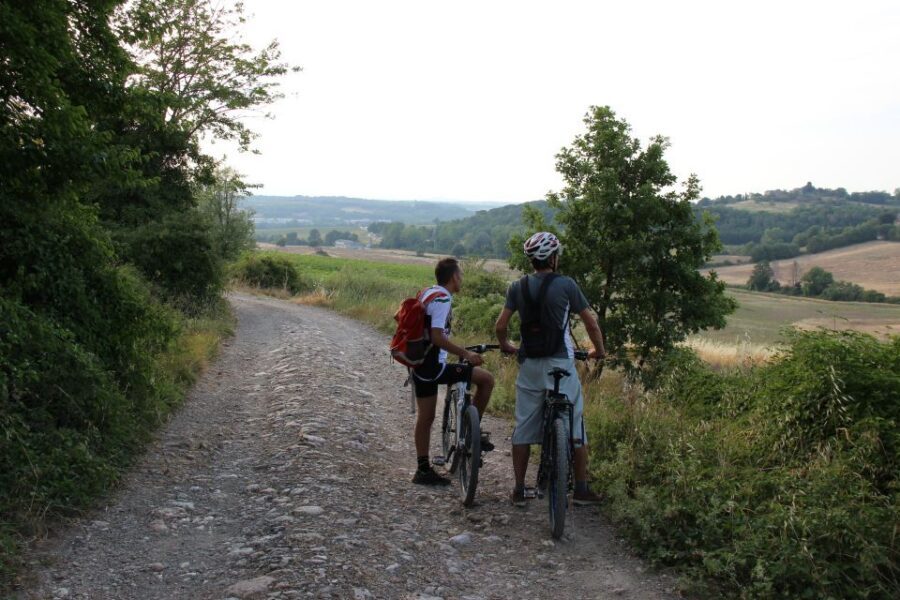 From Siena: Chianti Countryside E-Bike Tour w/ Lunch & Wine - Who this is best for (and who should think twice)