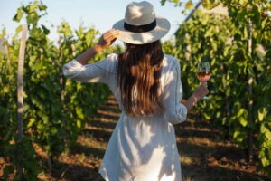 From Siena/Chianti: Dinner & Drinks in the Chianti Vineyards - Inside a Tuscan farm and winery: what the tour timing gets right