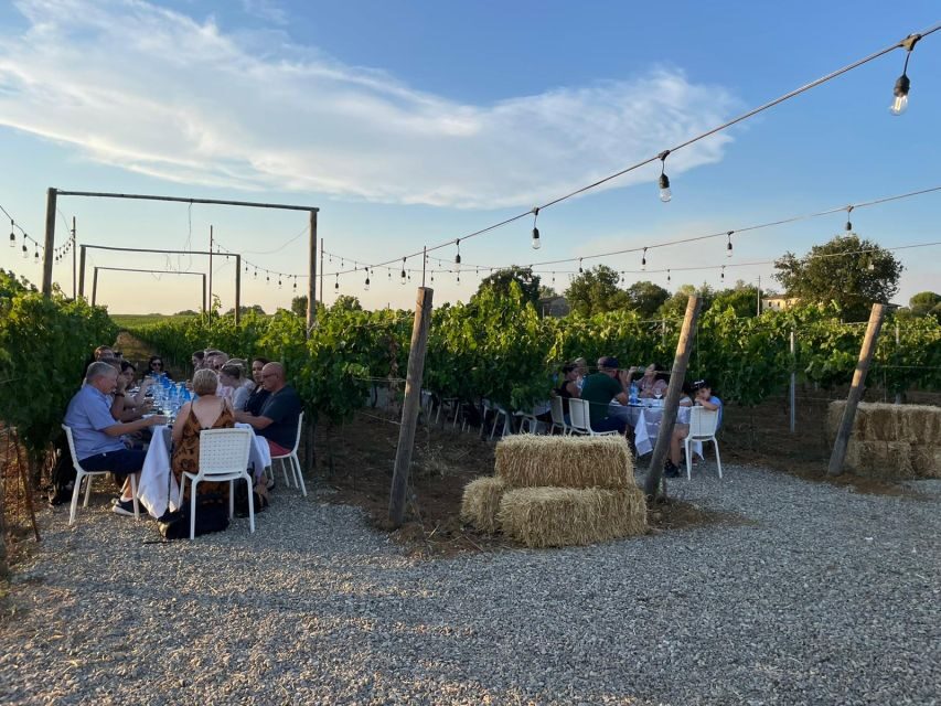 From Siena/Chianti: Dinner & Drinks in the Chianti Vineyards - Pairing without a sommelier: making sense of the flavors you’re tasting