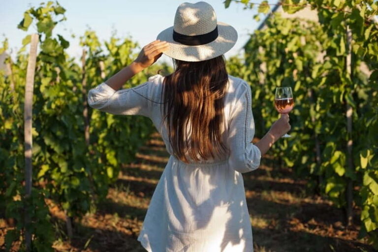 From Siena/Chianti: Dinner & Drinks in the Chianti Vineyards - Inside a Tuscan farm and winery: what the tour timing gets right