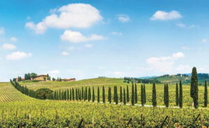 From Siena: Chianti Electric Bike Tour - The day’s ride: Chianti hills, vineyards, and a 40 km scenic route