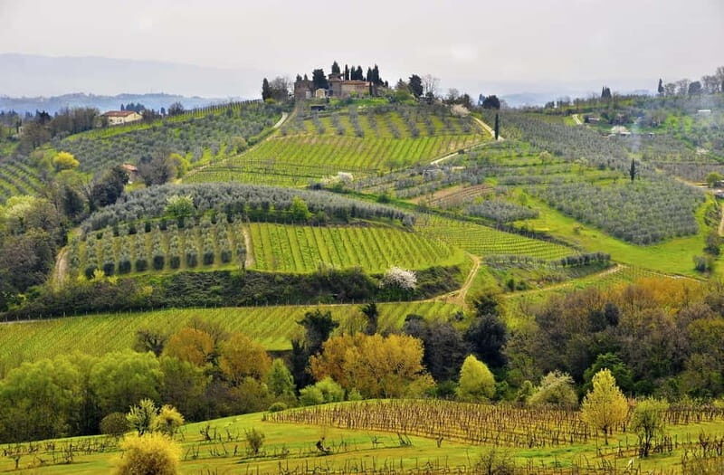 From Siena: Chianti Electric Bike Tour - What to bring, and how to handle rain (because Tuscany does what it wants)