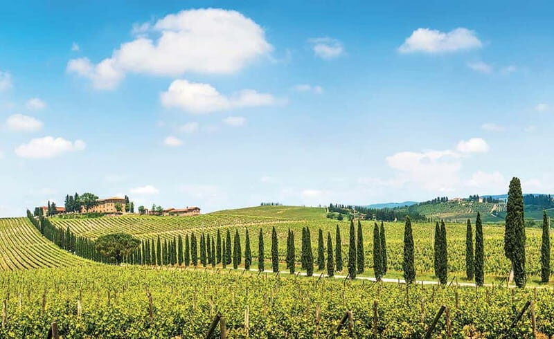 From Siena: Chianti Electric Bike Tour - The day’s ride: Chianti hills, vineyards, and a 40 km scenic route