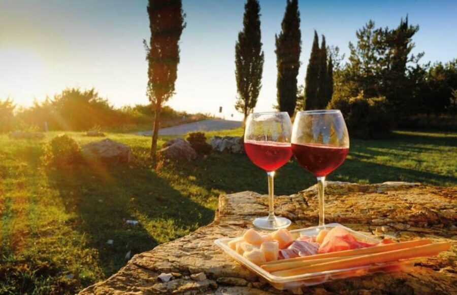 From Siena: San Gimignano, Chianti, and Montalcino Day Trip - Key Highlights That Make This Tour Worth Your Time