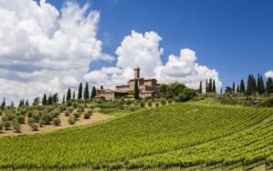 From Siena: San Gimignano, Chianti, and Montalcino Day Trip - Chianti Winery: Four Wines, Plus Olive Oil and Balsamic Pairings