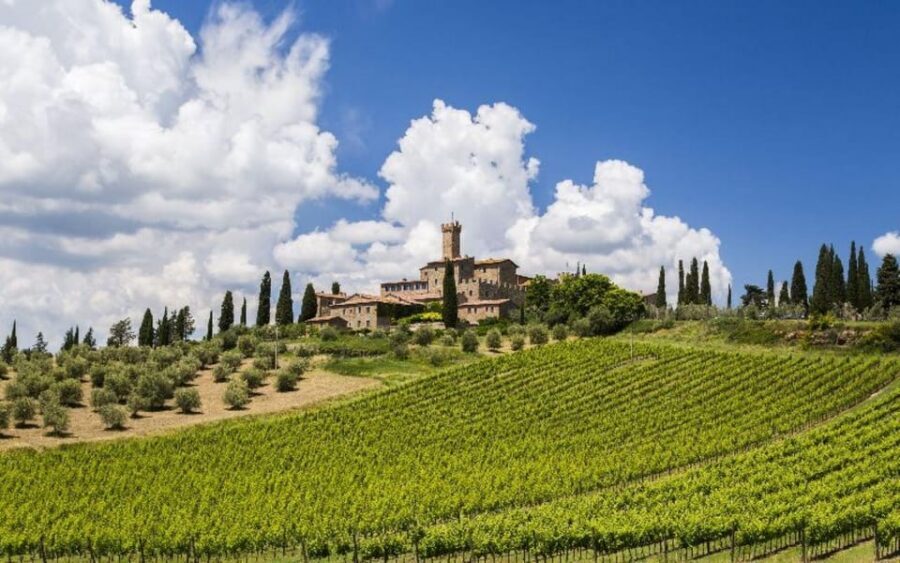 From Siena: San Gimignano, Chianti, and Montalcino Day Trip - Chianti Winery: Four Wines, Plus Olive Oil and Balsamic Pairings