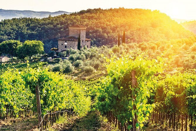 Full-Day Chianti Tour by Vespa Scooter from San Gimignano - Stop 2: Casale dello Sparviero Winetour (The Best-Payoff Block)