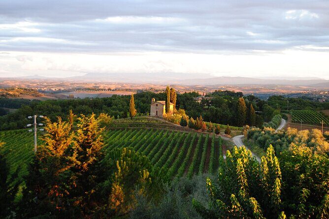 Guided tour of the cellars with wine tasting and lunch - Stop 1 at San Giorgio a Lapi: The Church on the Estate (And the St. George Story)
