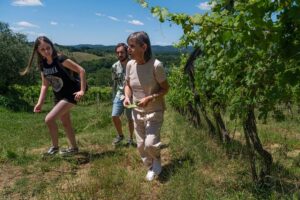 Guided Winery Tour and Wine Tasting in Siena - Getting to Azienda Agricola La Lastra (and why the 4:00 pm start helps)