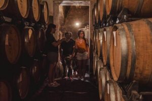 Montalcino Castle and Vineyards tour with tasting - The castle walk: walls, Baldassare Peruzzi’s bridge, and the Chapel of the Veil