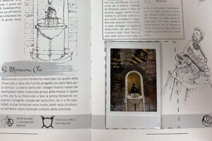 PolaTour The 17 Fountains of the Contradas of Siena - Stop structure in the Centro Storico: 17 fountain stages in the Contradas