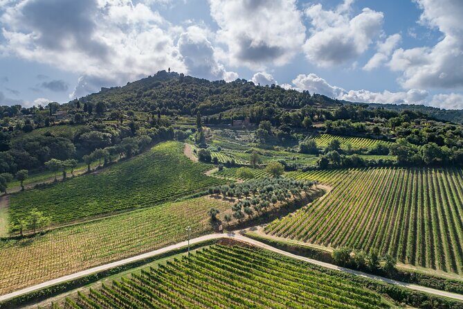 Private Premium Brunello Wine Tasting Tour & Food Pairing - Who should book this private Brunello tasting