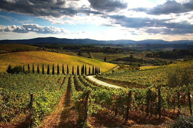 Private Tour: Guided Hike in Tuscany with Transport from Siena - What to bring and how to set yourself up for success