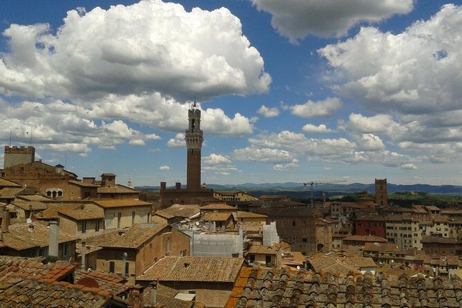 Private Tour: Siena Walking Tour - Silvia Roncucci and the style of guidance you’ll appreciate