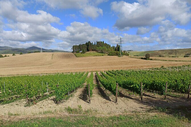 PRIVATE TRANSFER from Siena to Florence with stop in S Gimignano & Monteriggioni - Timing and pacing: built for a busy day, not a slow vacation