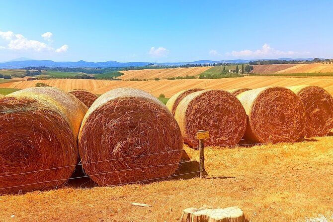PRIVATE TRANSFER from Siena to Florence with stop in S Gimignano & Monteriggioni - Price: what $181.39 per person buys you