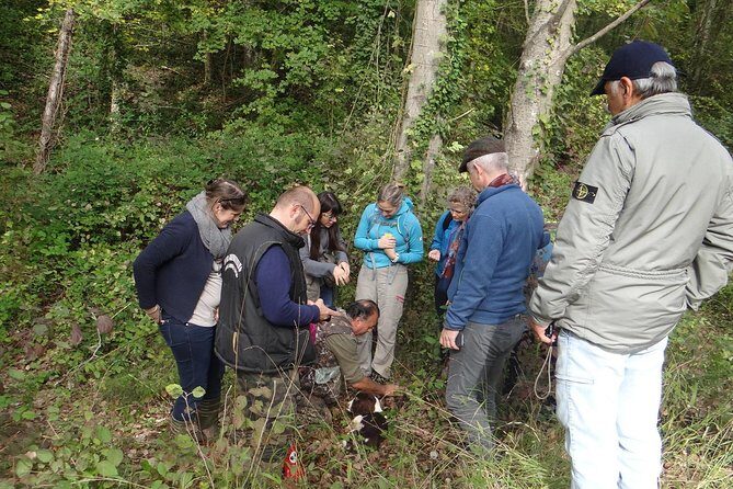 Private Truffle Hunting in Chianti - Getting started at Tuscany Private Tour in Castellina in Chianti