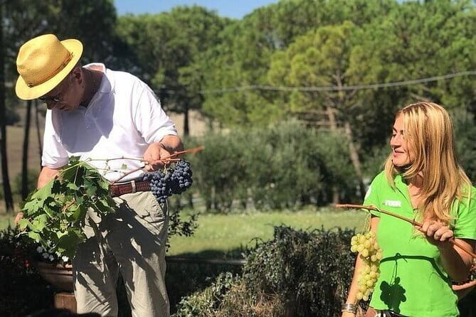 San Gimignano, Siena, Monteriggioni: Fully Escorted Tour, Lunch & Wine Tasting - Monteriggioni Fortress Village: Quick Photos, But Know the Winter Rule