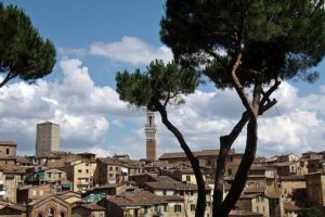 Secret Siena Walking Tour - Meeting at Piazza San Domenico and ending at Il Campo