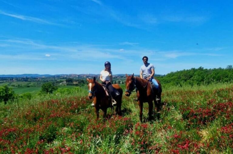 Siena: Horseback Riding Tour in the Tuscany Countryside - Meet the Horses and Get Started: Beginner Training Meets Real Control
