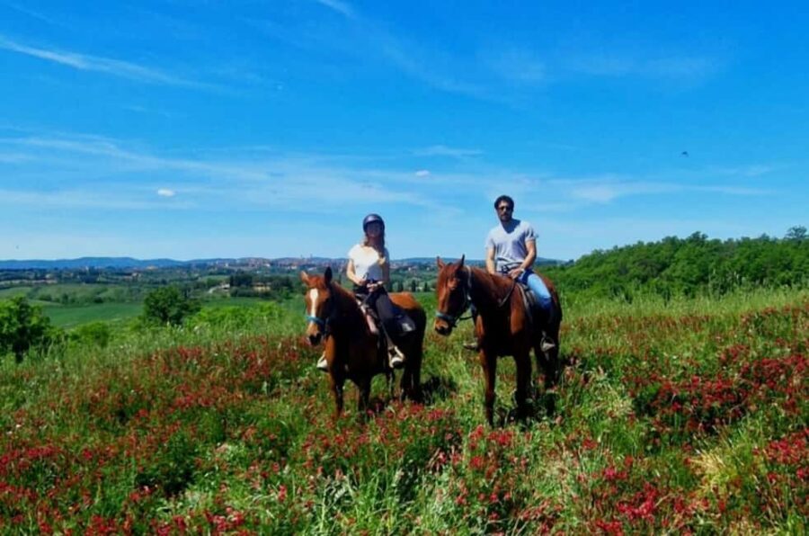 Siena: Horseback Riding Tour in the Tuscany Countryside - Meet the Horses and Get Started: Beginner Training Meets Real Control