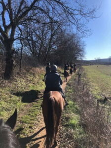 Siena: Horseback Tour on the Via Francigena - The ride along the Via Francigena: woods, hills, and golden fields