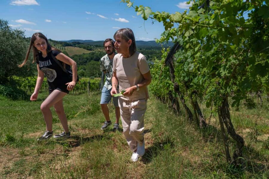 Siena: Organic Winery Tour and Wine Tasting - Vineyards first: organic grapes and the agro-ecosystem story