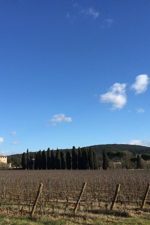Siena: Tour and Wine Tasting in a Tuscan Private Castle - The Private Castle Tour: Gardens and the Renaissance Chapel
