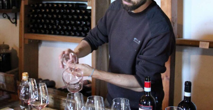 Siena: Tuscan Classics Wine Tasting Class with Aperitivo - What you taste: 6 wines, plus local aperitivo-style bites