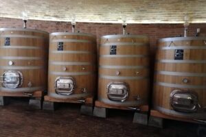 Small-Group Brunello di Montalcino Wine-Tasting Trip from Siena - Stop 1: Tuscan vineyards, cellars, and your first Brunello tasting