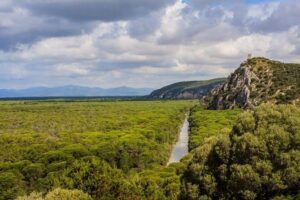 Tarot Garden and Maremma Park - Parco Naturale della Maremma: carriage ride or an easy walk with sea-monster tales