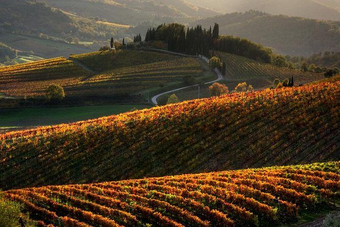 Tuscany Hiking Tour from Siena Including Wine Tasting - Key Highlights You’ll Actually Care About