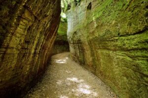 Tuscany: Self-Guided Video Tour with World's Top Experts - Your Tuscan Route: Siena, Pisa, Lucca, and the Big Names