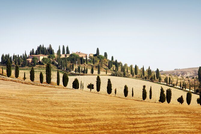 Vespa Tour with Lunch&Chianti Winery from Siena - Key points that matter before you go