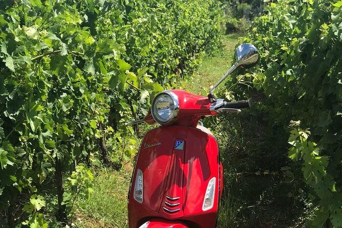 Vespa Tour with Lunch&Chianti Winery from Siena - Value and price: is $168.36 really fair?